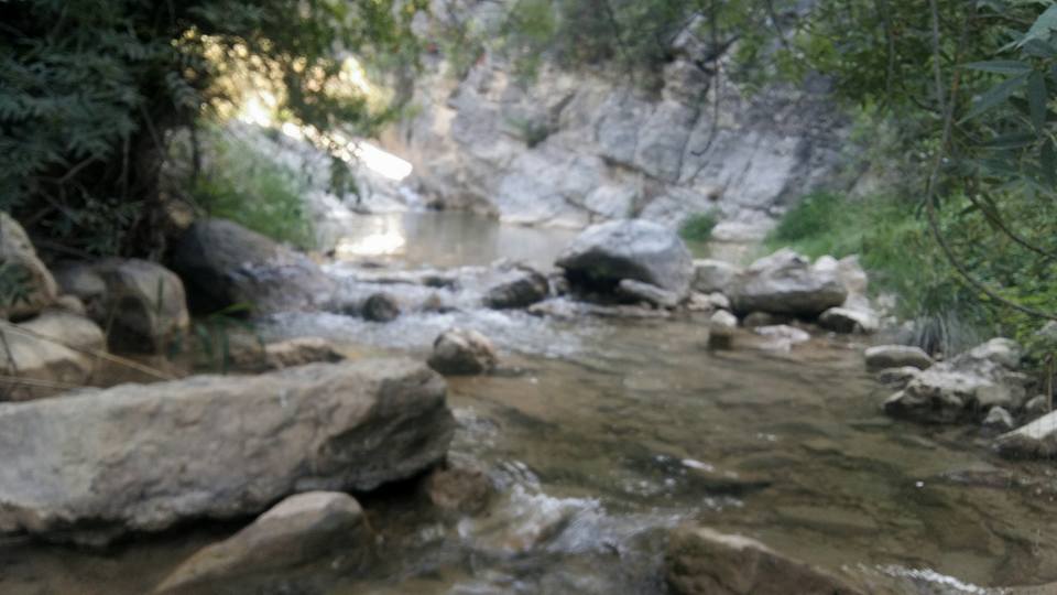 Excursión de fin de curso alumnos Colegio Público Rural Blas Infante.